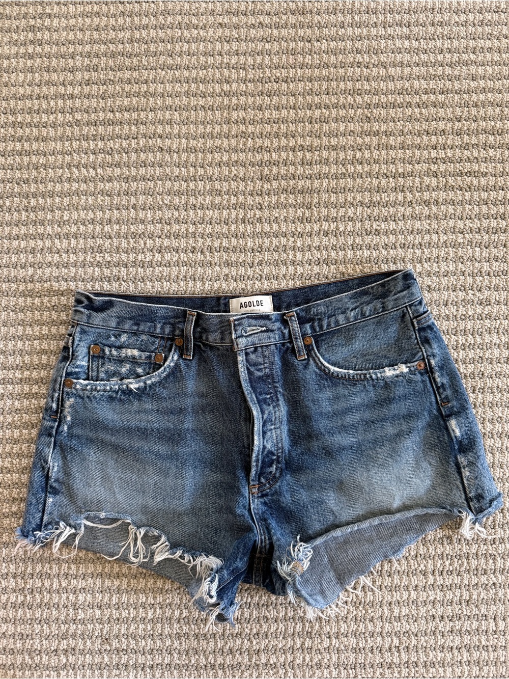 AGOLDE Parker Shorts in Skywave